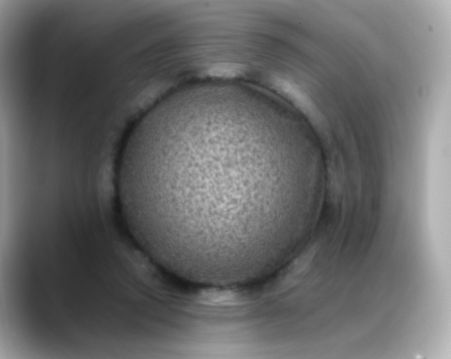 X0000088400354200706051140