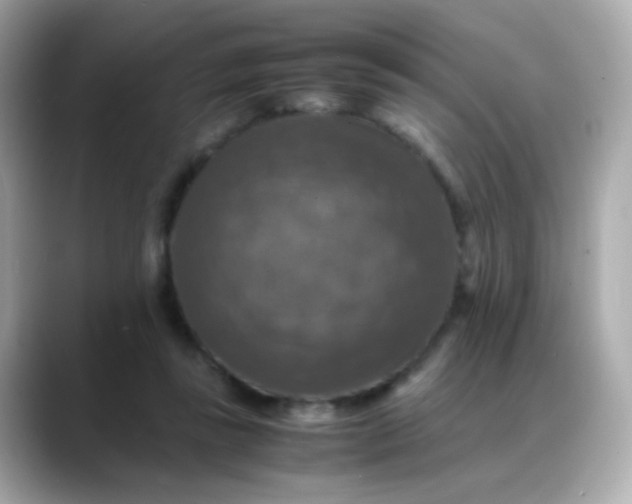 X0000088400355200706051140