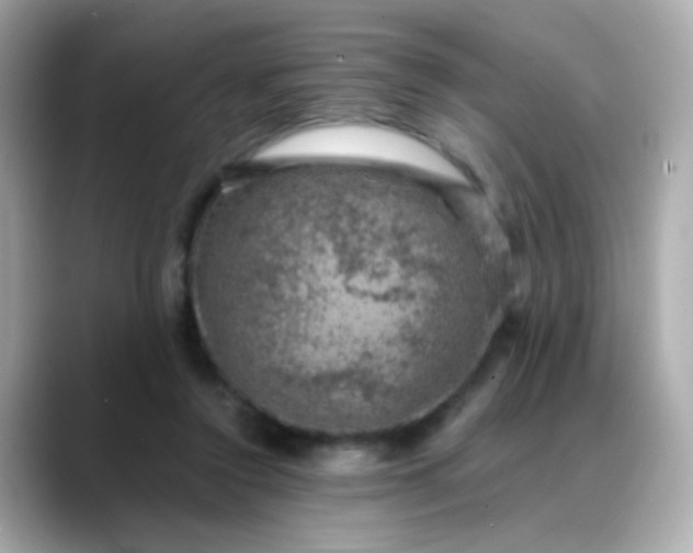 X0000088400356200706051140