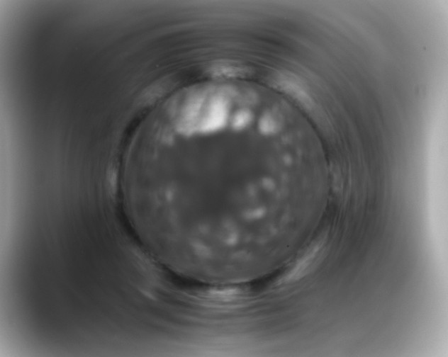 X0000088400357200706051140