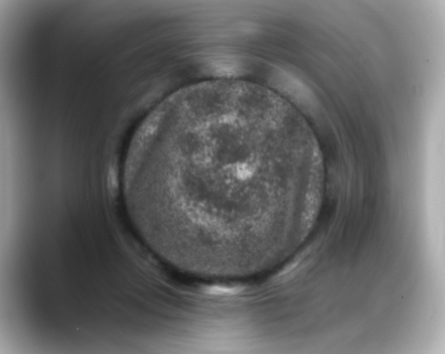 X0000088400358200706051140