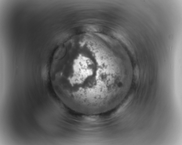 X0000088400359200706051140