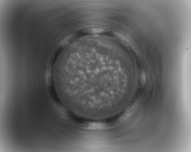 X0000088400360200706051140