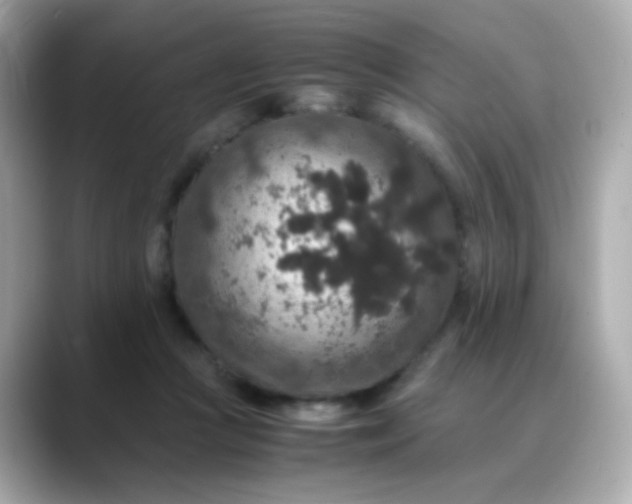 X0000088400361200706051140