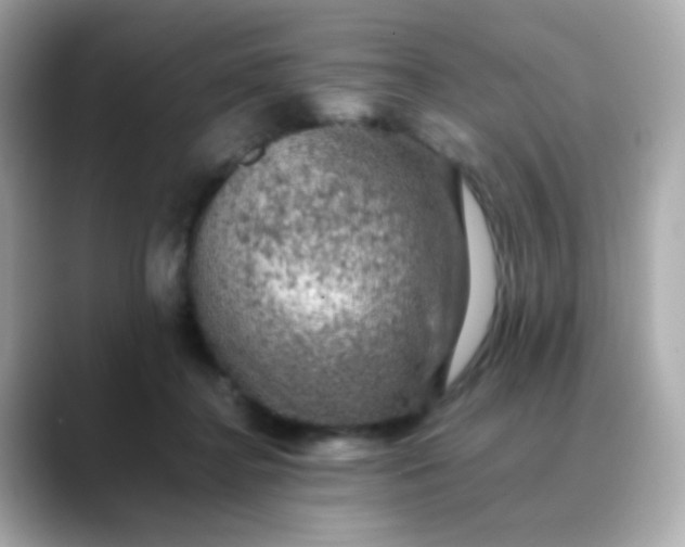 X0000088400364200706051140