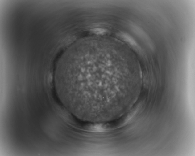 X0000088400365200706051140