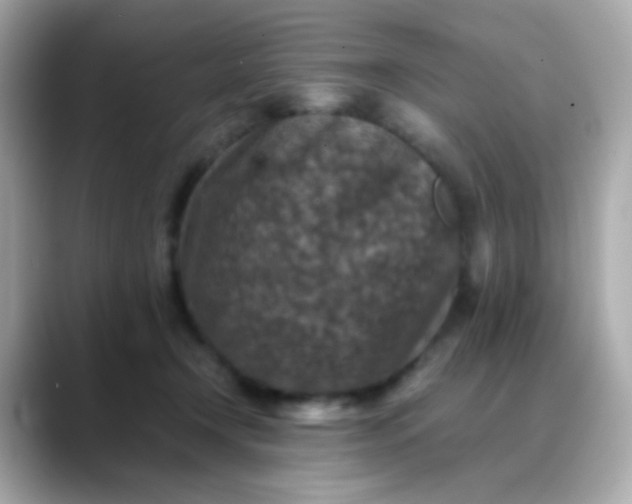 X0000088400366200706051140