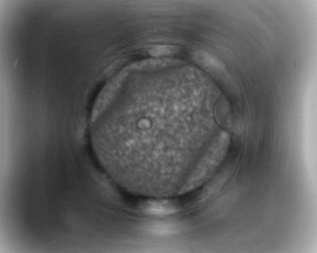 X0000088400367200706051140