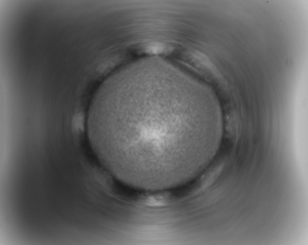 X0000088400368200706051140