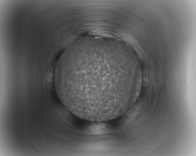 X0000088400369200706051140