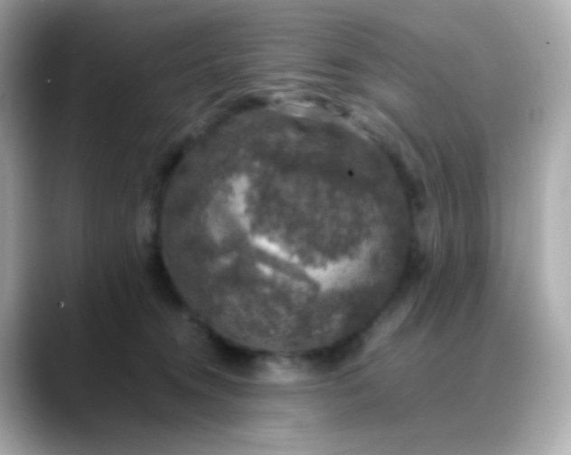 X0000088400372200706051140