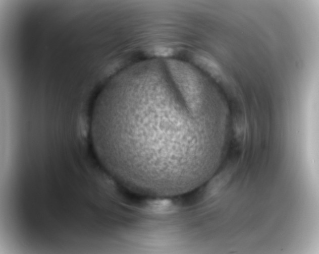 X0000088400374200706051140