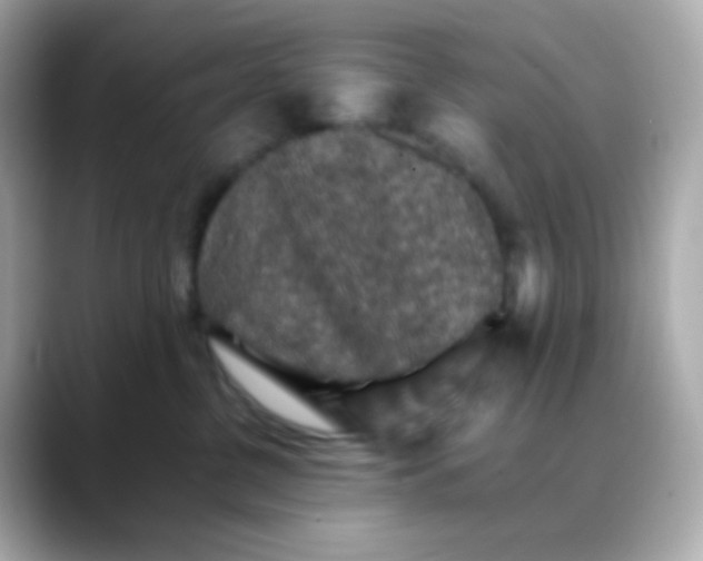 X0000088400380200706051140