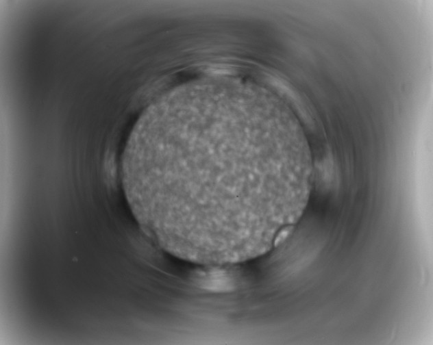 X0000088400381200706051140