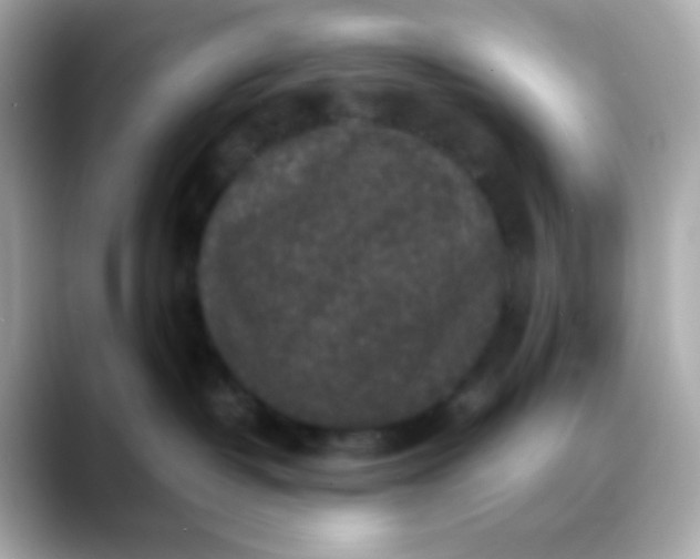 X0000088400382200706051140