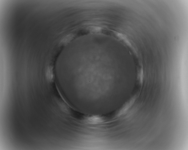 X0000088400383200706051140