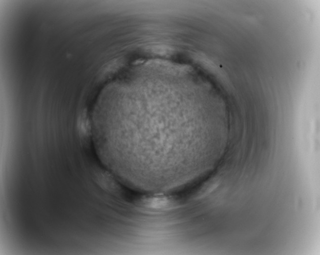 X0000088400384200706051140