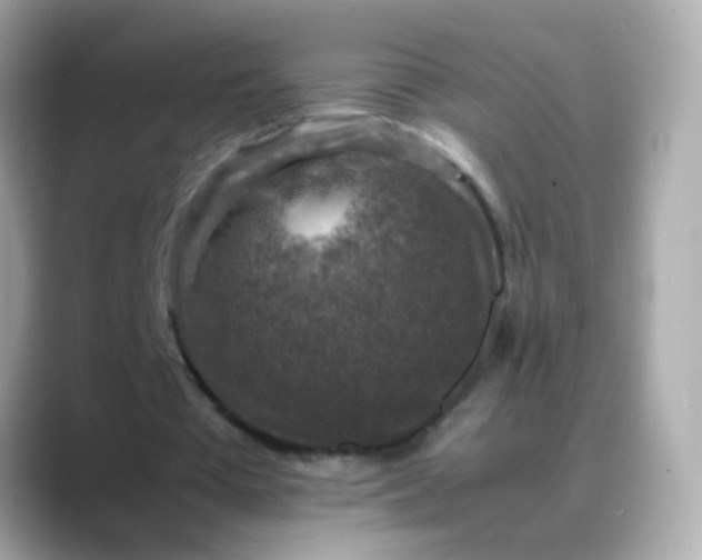 X0000088400385200706051139