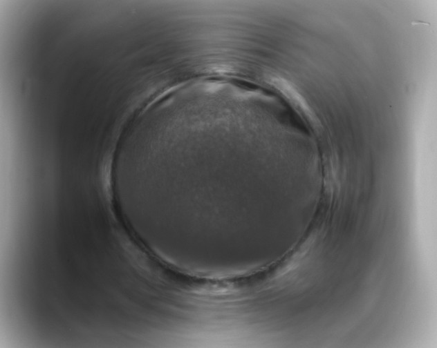 X0000088400386200706051139