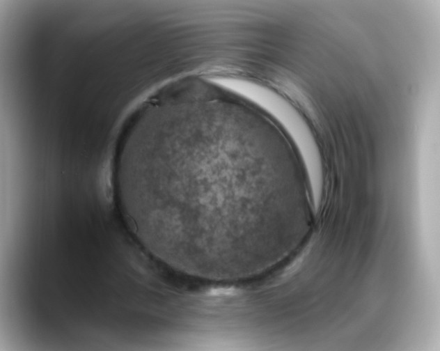 X0000088400388200706051139