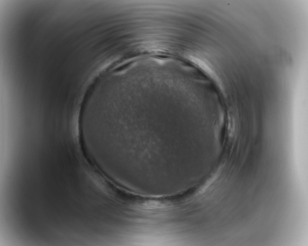 X0000088400390200706051139