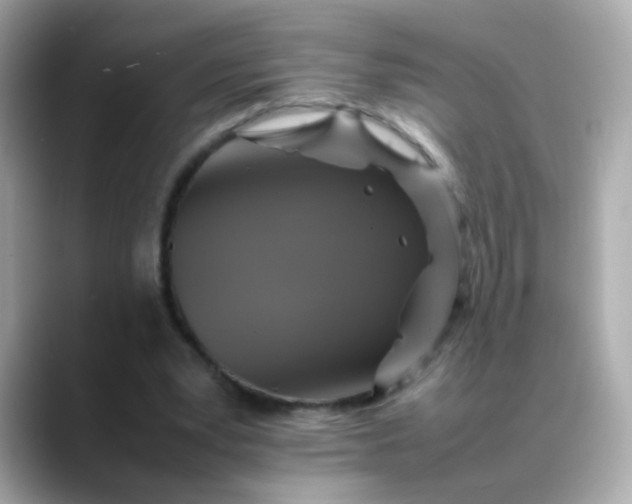 X0000088400391200706051139