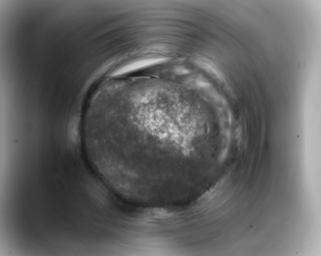 X0000088400392200706051139