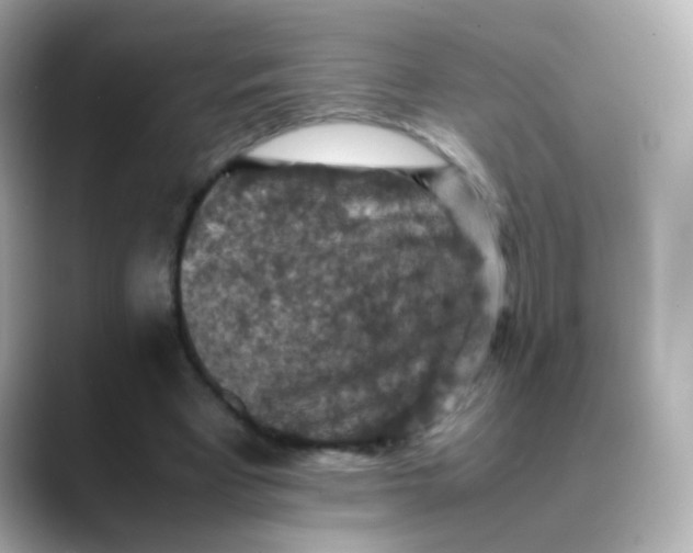 X0000088400393200706051139