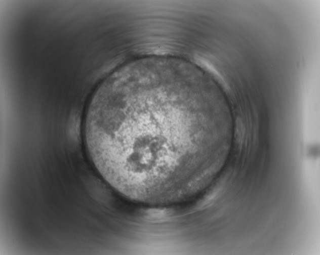 X0000088400394200706051139