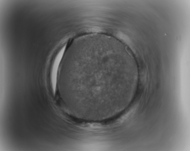 X0000088400395200706051139