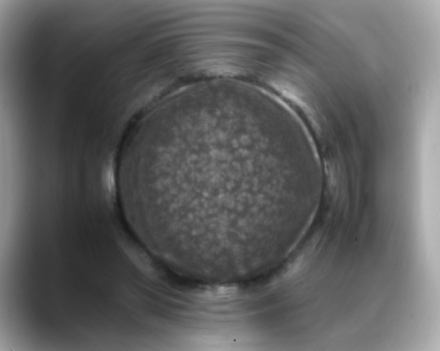 X0000088400398200706051139