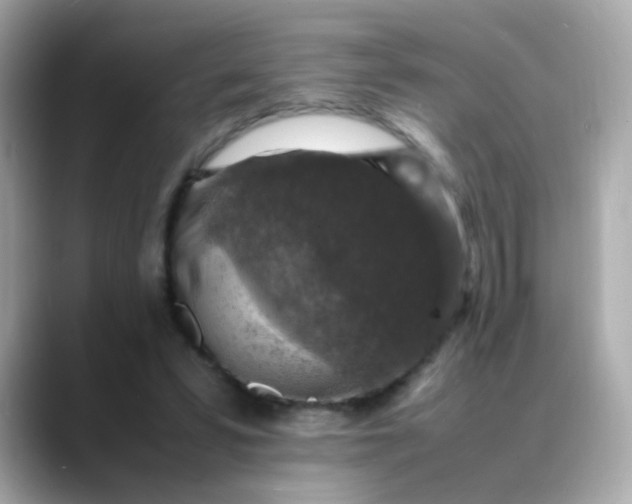 X0000088400399200706051139