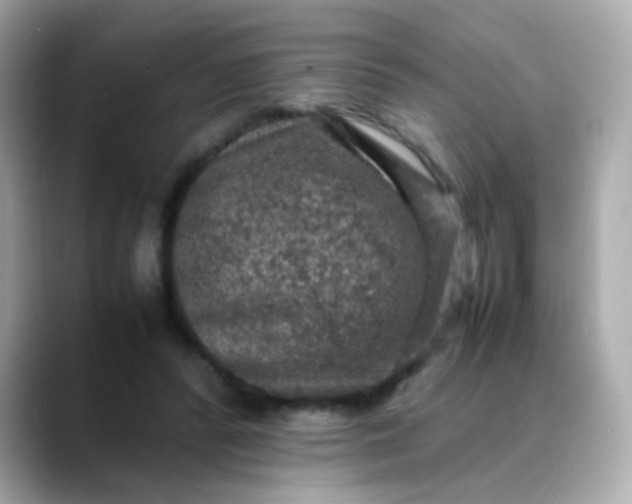 X0000088400400200706051139