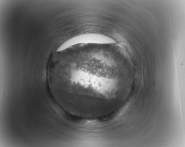 X0000088400401200706051139