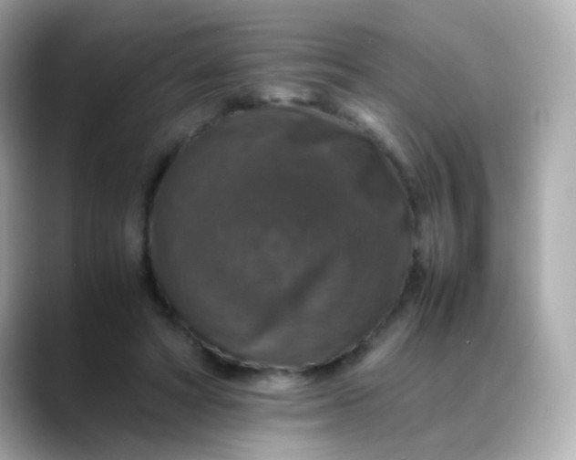 X0000088400402200706051139