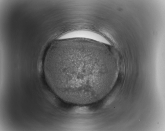 X0000088400403200706051139