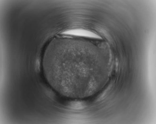 X0000088400404200706051139