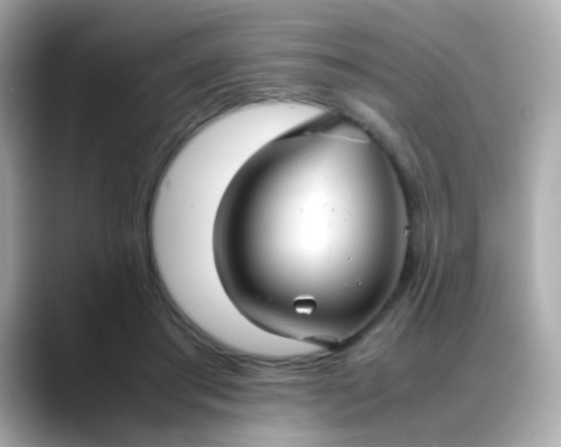 X0000088400405200706051139