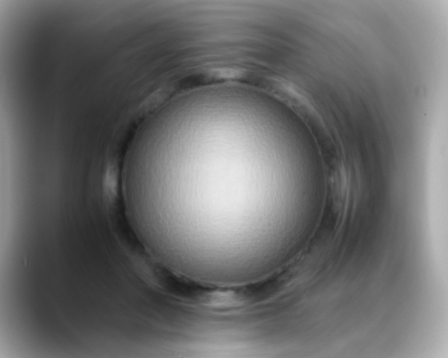 X0000088400406200706051139