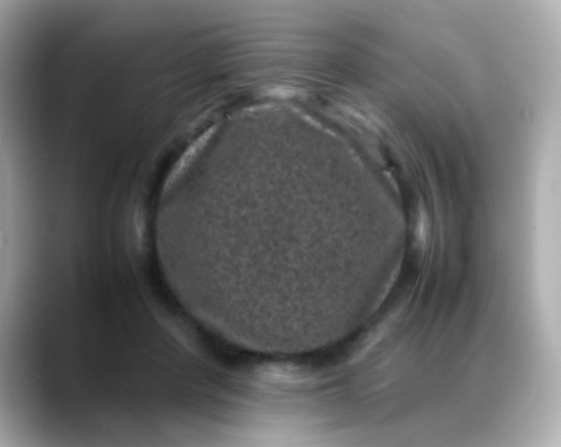 X0000088400408200706051139