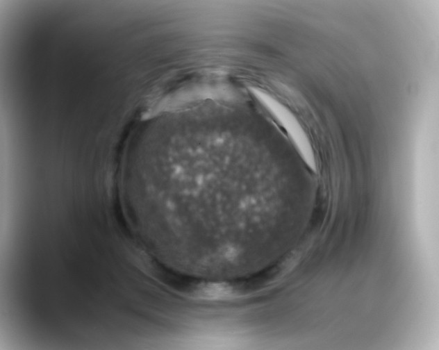 X0000088400409200706051139