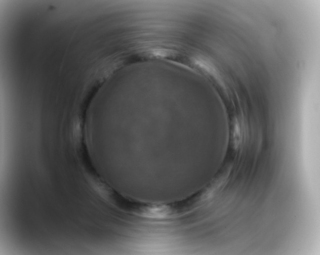 X0000088400410200706051139