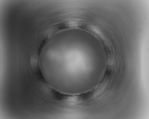 X0000088400411200706051139