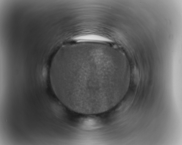 X0000088400412200706051139