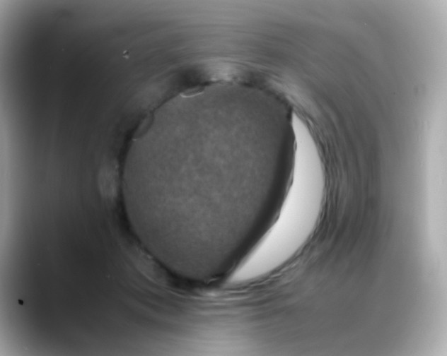 X0000088400413200706051139