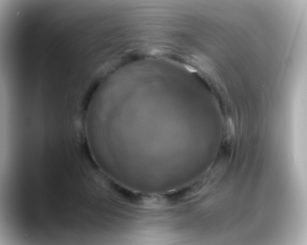 X0000088400415200706051139