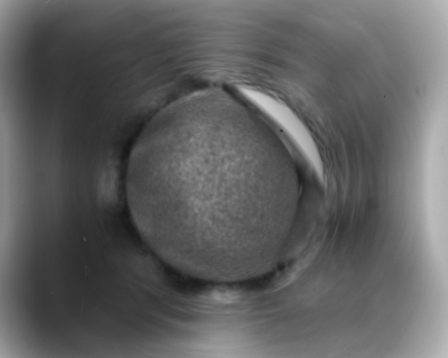 X0000088400416200706051139