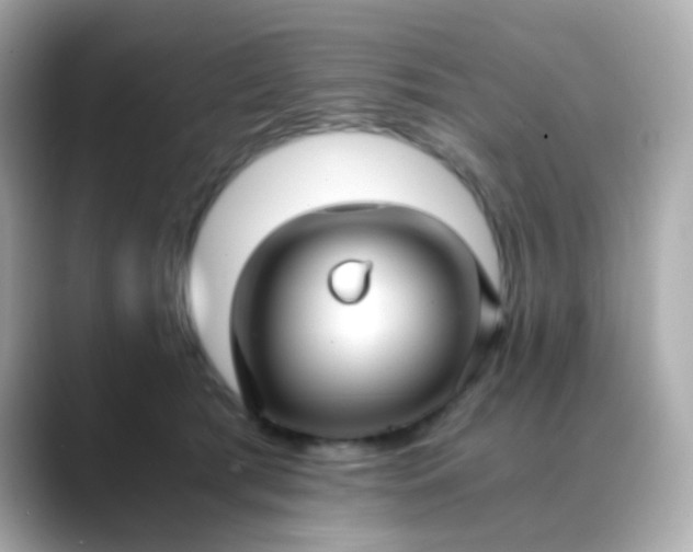 X0000088400417200706051139