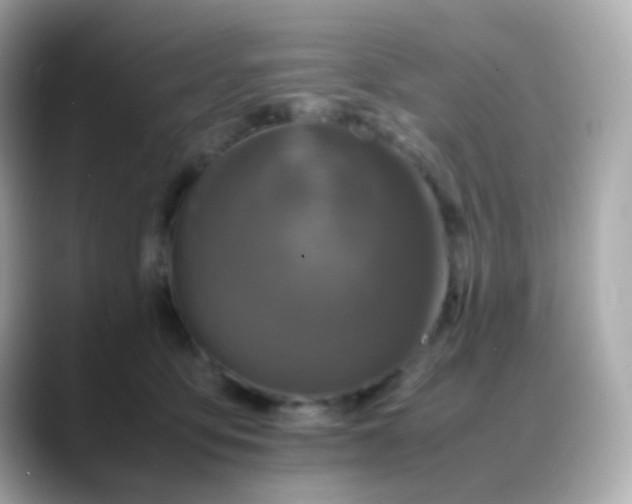 X0000088400419200706051139