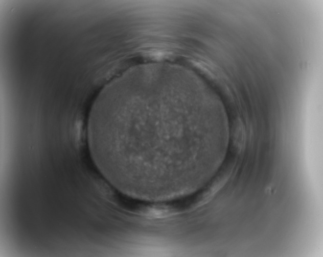 X0000088400420200706051139